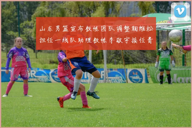 山东男篮宣布教练团队调整鞠维松担任一线队助理教练李敬宇接任青年队主教练
