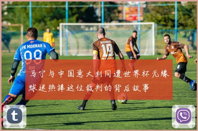 马宁与中国意大利同遭世界杯无缘球迷热捧这位裁判的背后故事