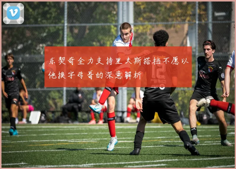 东契奇全力支持里夫斯搭档不愿以他换字母哥的深意解析